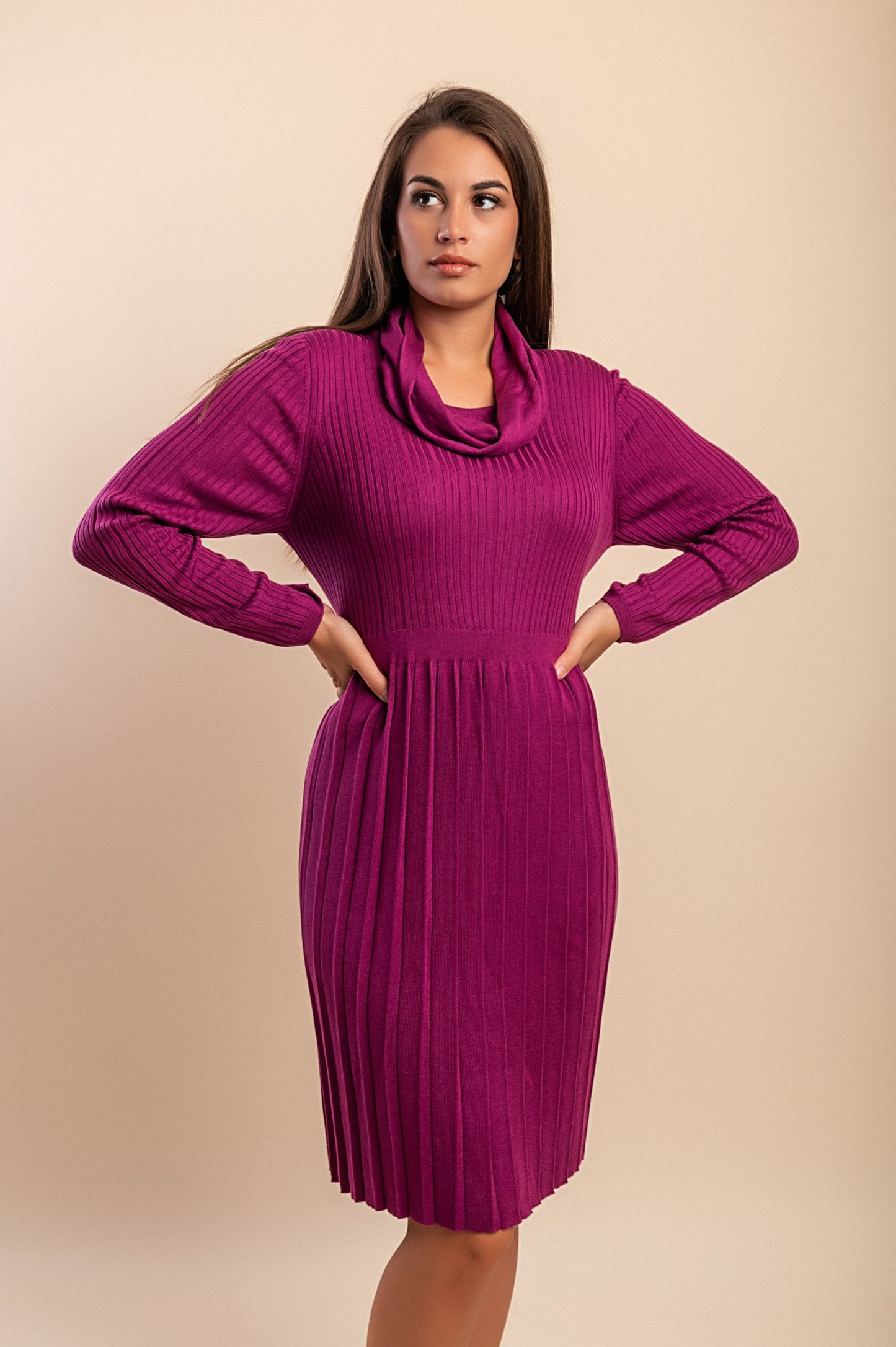 Abito a maniche lunghe taglie forti, viola