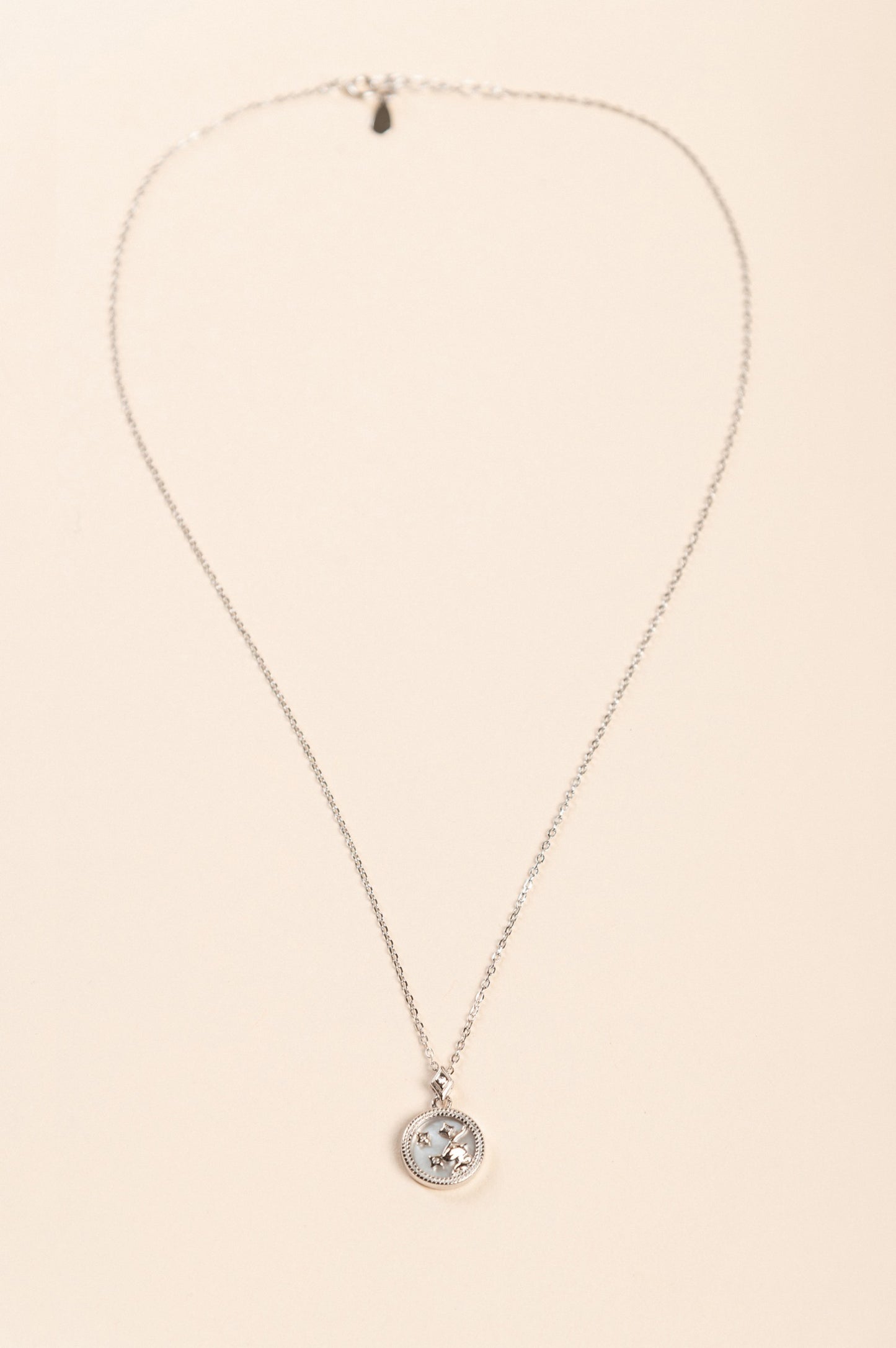Catena con pendente, CAPRICORNO, argento