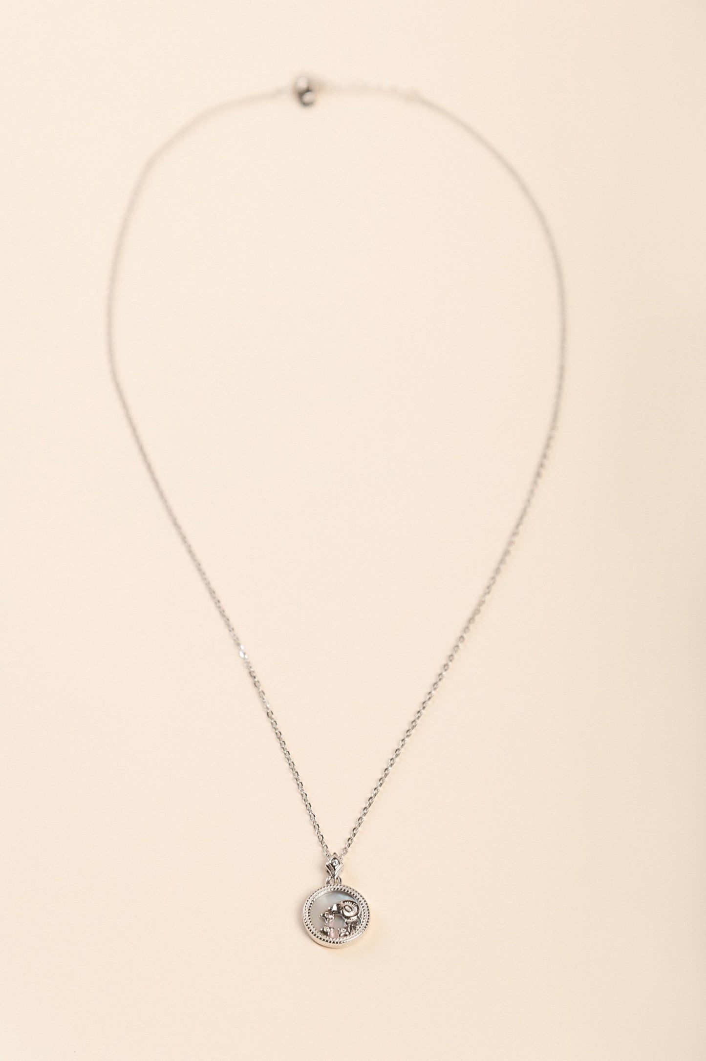 Catena con pendente, ARIETE, argento